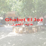 Ghabet El Joz