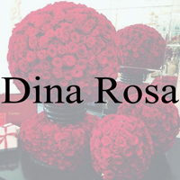 Dina Rosa