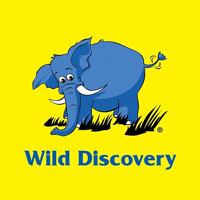 Wild Discovery - Kaslik