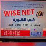 Wise Net Lebanon