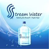 Stream Water