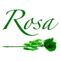 Rosa Flowers