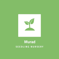 Mrad Seedlings Nursery