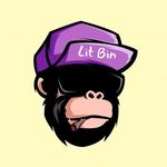 Lit Bin