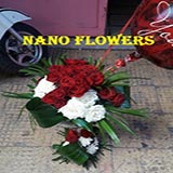 Nano Flowers
