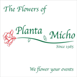 Planta Micho