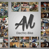 AM Electric Bike